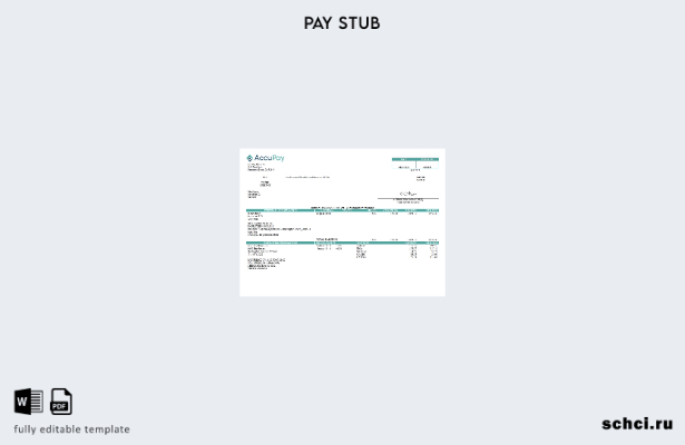 цифровая загрузка шаблона компании по расчету заработной платы USA Accupay Demo 